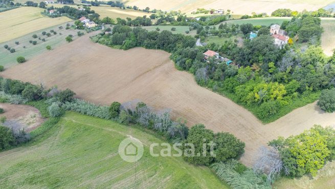 Terreno agricolo in commerciale in Via Campoceraso