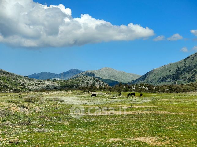 Terreno agricolo in commerciale in Contrada San Niccolò