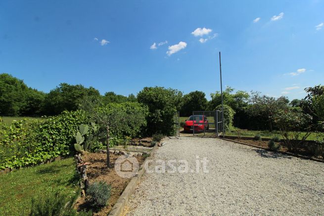 Terreno agricolo in commerciale in Via dei Pini