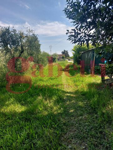 Terreno agricolo in commerciale in Via Aiaccia