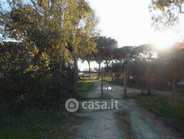 Terreno agricolo in commerciale in Strada Litoranea 3960