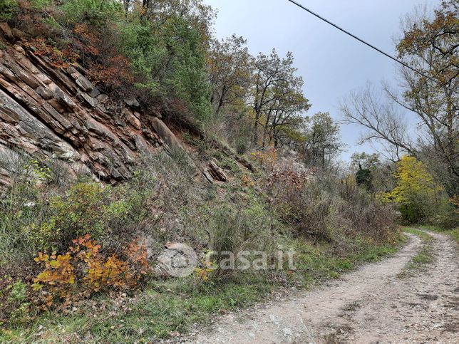 Terreno edificabile in residenziale in Località Torricella