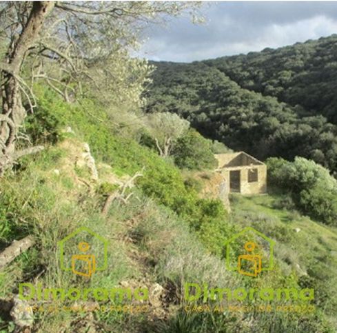 Terreno agricolo in commerciale in Strada Vicinale Taniga Baldella