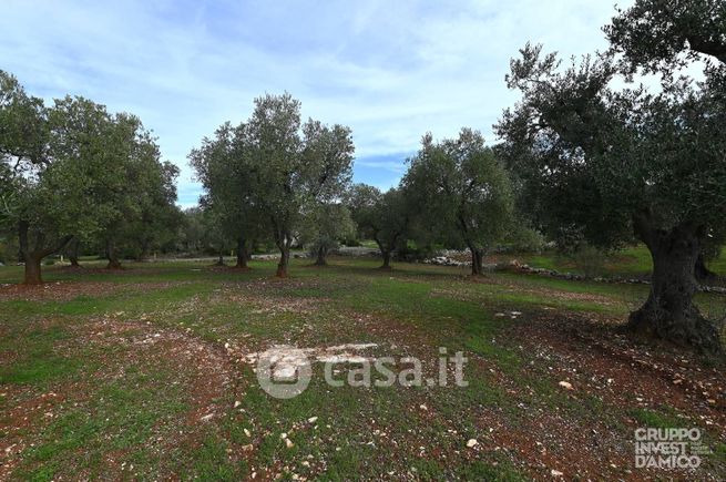Terreno edificabile in residenziale in 