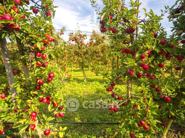 Terreno agricolo in commerciale in Moosweg