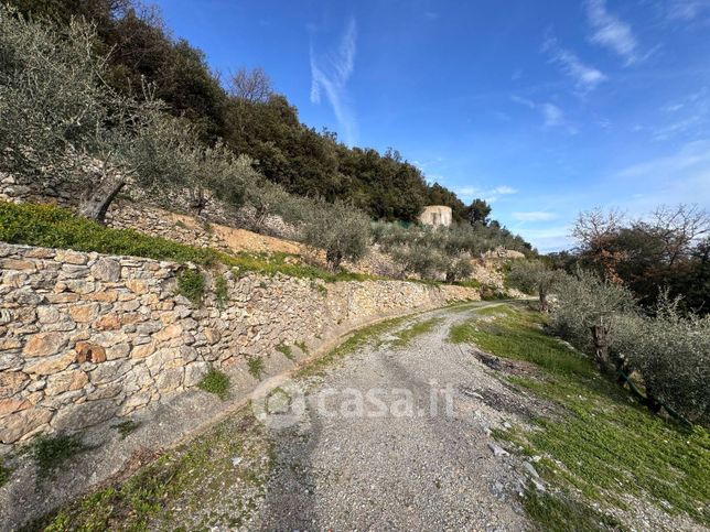 Terreno agricolo in commerciale in Via Fornace