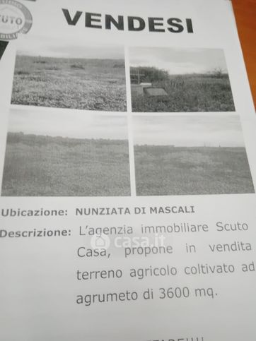 Terreno agricolo in commerciale in Nunziata