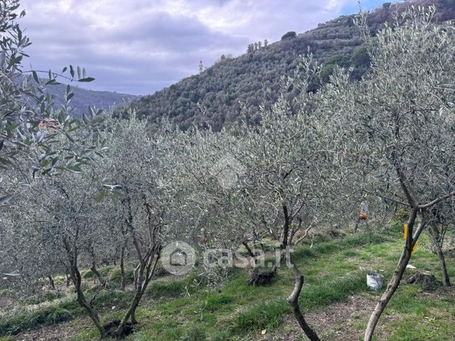 Terreno agricolo in commerciale in Via Don Luigi Rosasco