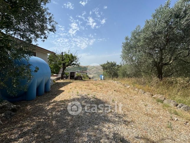 Terreno agricolo in commerciale in Via Guerrazzi