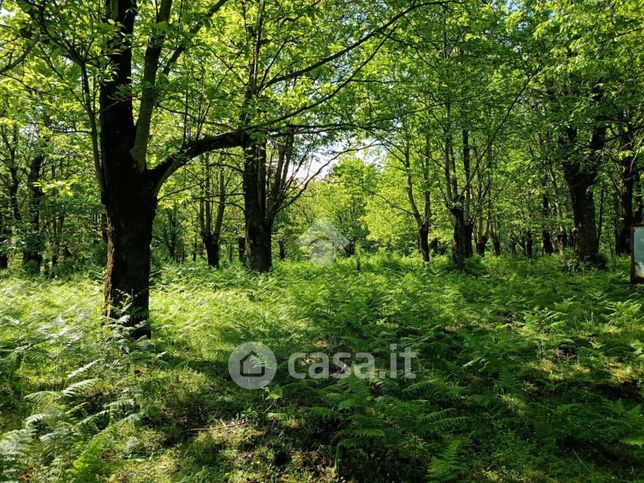 Terreno agricolo in commerciale in 
