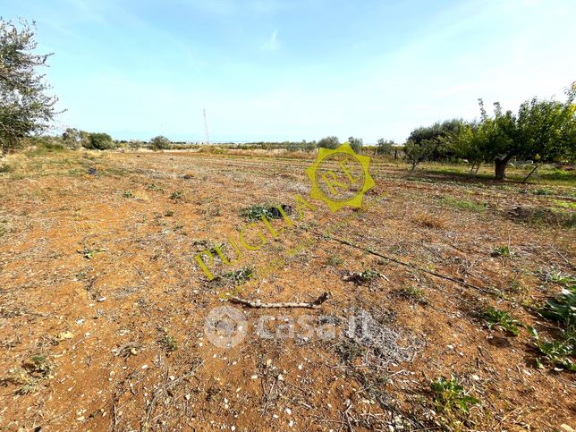 Terreno agricolo in commerciale in Contrada Cappella