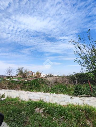 Terreno agricolo in commerciale in Contrada Ferrarese