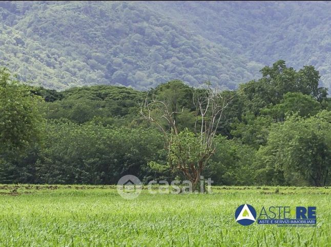 Terreno agricolo in commerciale in Strada Venti Palmi