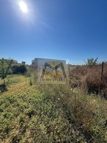 Terreno agricolo in commerciale in Via per Barracano