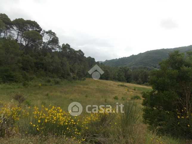 Terreno agricolo in commerciale in 