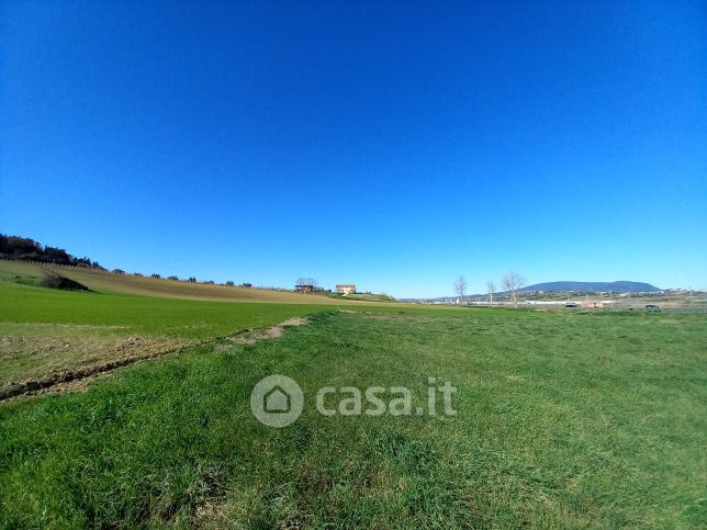 Terreno agricolo in commerciale in Strada Statale 16 Adriatica