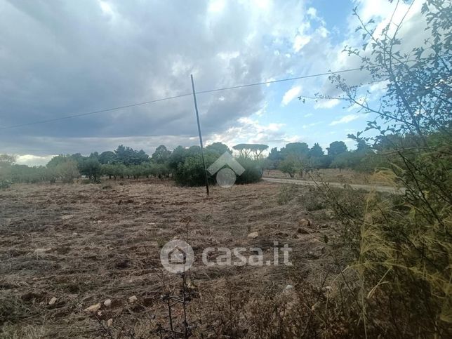 Terreno agricolo in commerciale in Via Trulli