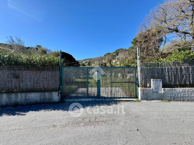 Terreno agricolo in commerciale in Via dei Pini