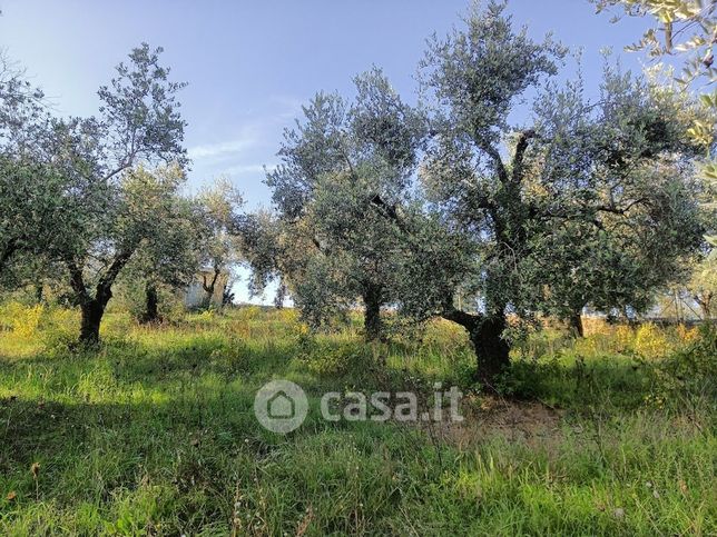 Terreno agricolo in commerciale in Tre Querce