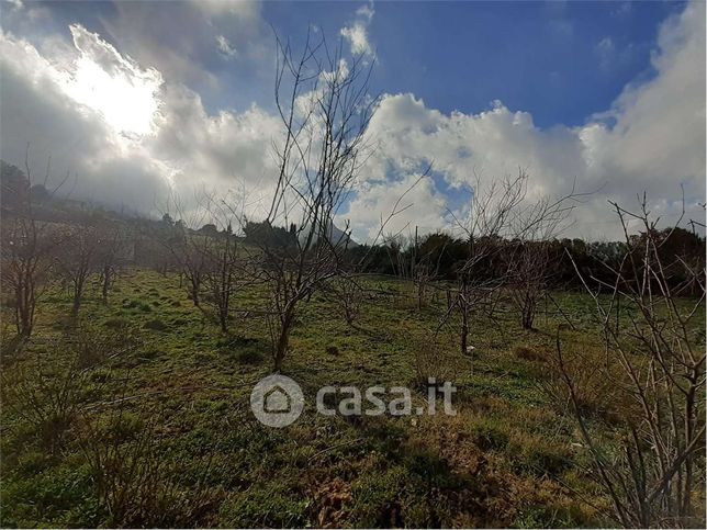 Terreno agricolo in commerciale in Contrada Montagnola