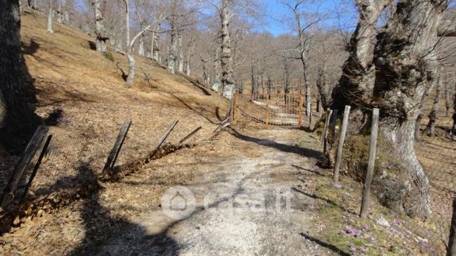 Terreno agricolo in commerciale in 