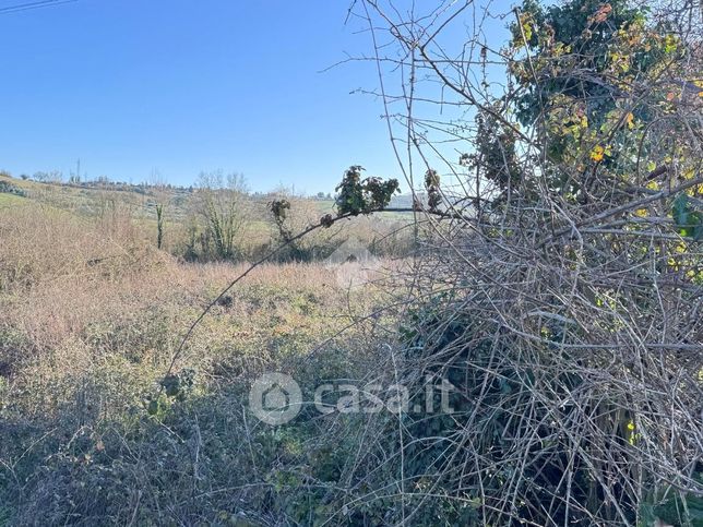 Terreno agricolo in commerciale in Via Mavoncello Rodella