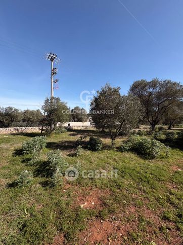 Terreno agricolo in commerciale in Contrada Rosara
