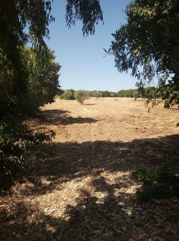 Terreno edificabile in residenziale in Borgo Degli Ulivi