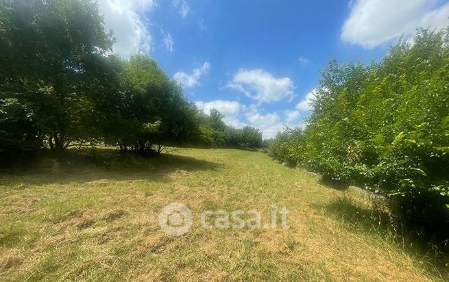 Terreno agricolo in commerciale in Via Sangallo