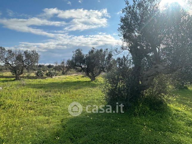 Terreno agricolo in commerciale in Strada colosso