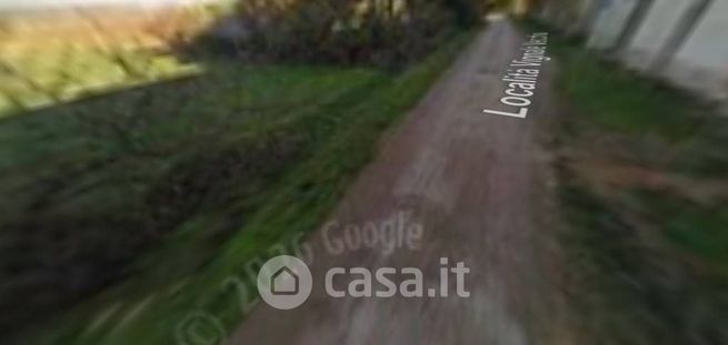 Terreno agricolo in commerciale in LocalitÃ  Vignale Stazione