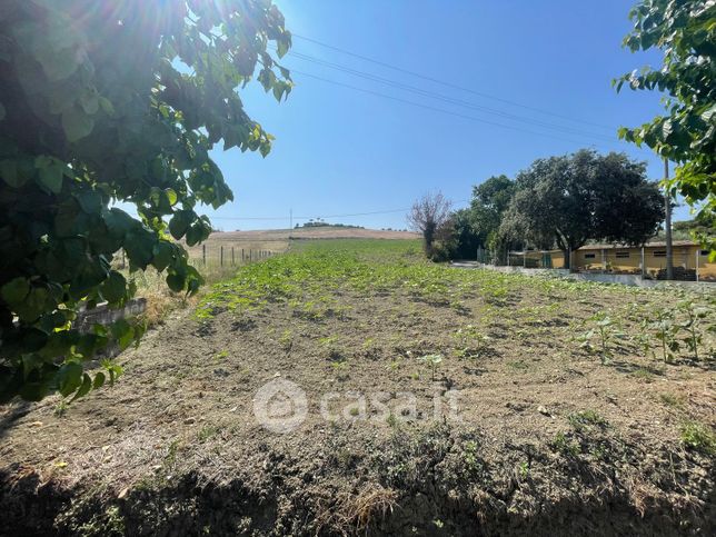 Terreno agricolo in commerciale in Strada Statale Arceviese 31