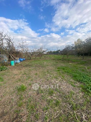 Terreno agricolo in commerciale in 
