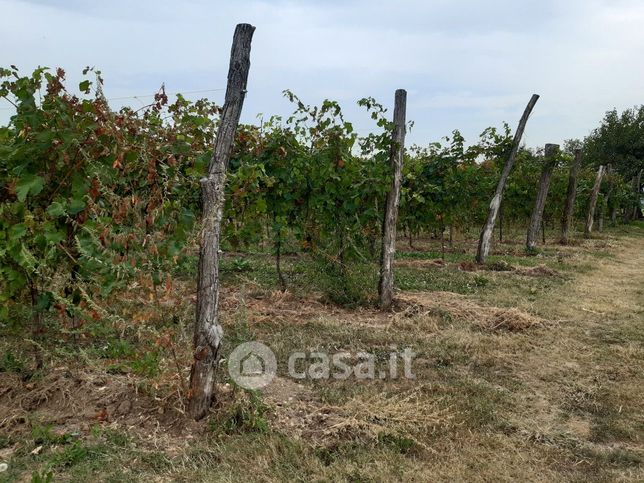 Terreno agricolo in commerciale in Via Menegoni