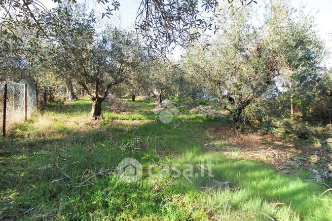 Terreno agricolo in commerciale in Via F. Marrone 1