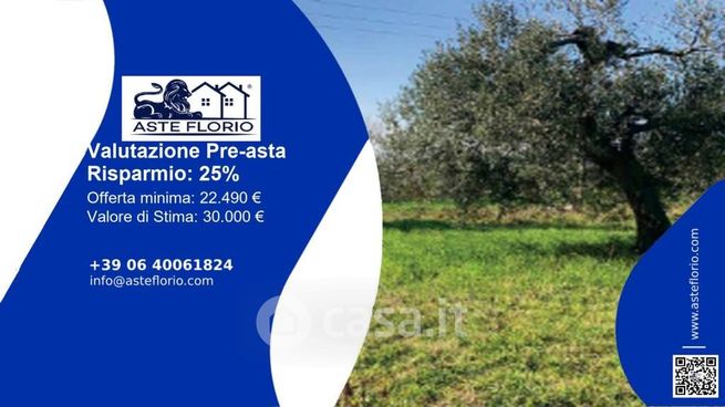Terreno agricolo in commerciale in Strada Galilea