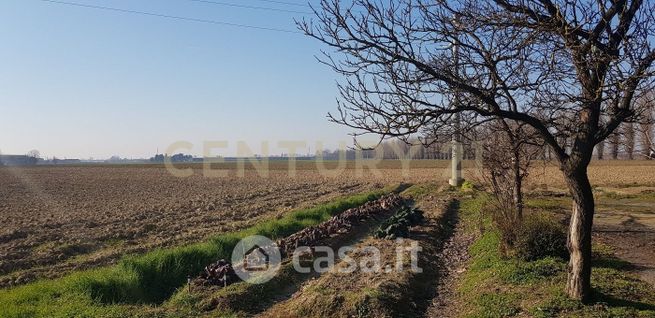 Terreno agricolo in commerciale in Strada Provinciale 45 62