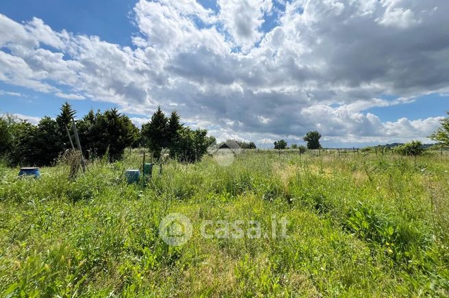 Terreno agricolo in commerciale in Via Argine dell'Ombrone 200