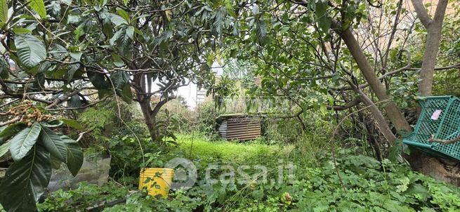 Terreno edificabile in residenziale in Località Marotta 2