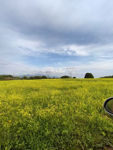 Terreno agricolo in commerciale in Via di Casa Colonnella