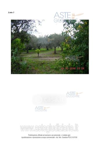 Terreno agricolo in commerciale in 