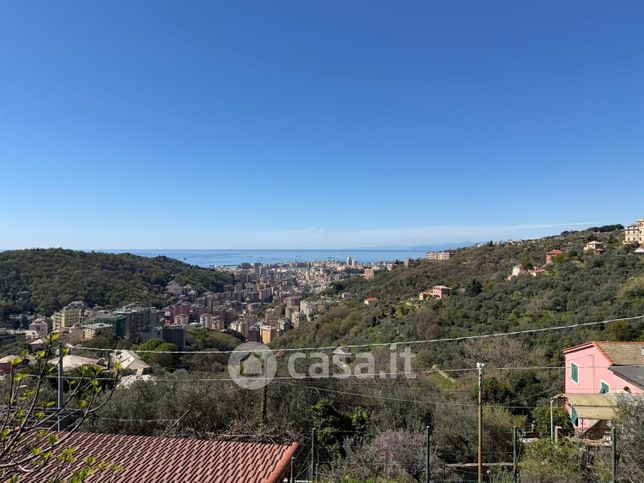 Terreno agricolo in commerciale in Salita alla Chiesa di Quezzi 285r