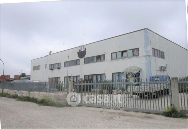 Capannone in commerciale in SS17