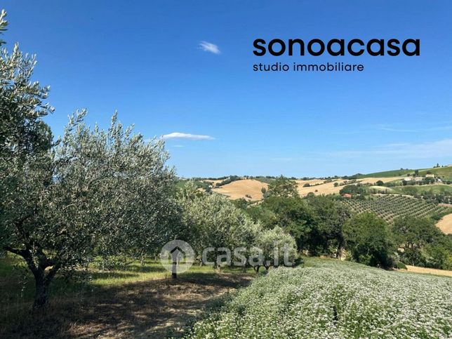 Terreno agricolo in commerciale in Viale Enzo Paci