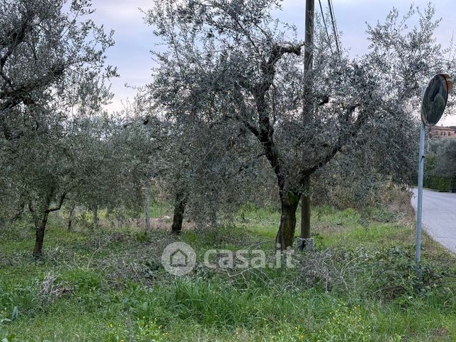 Terreno agricolo in commerciale in Via Pratolungo