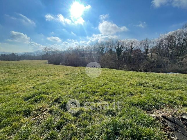 Terreno agricolo in commerciale in Borgata Selvaggio Rio 1