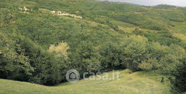 Terreno agricolo in commerciale in Via Verdella