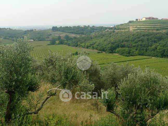 Terreno agricolo in commerciale in 