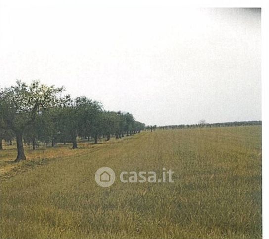 Terreno agricolo in commerciale in SP109