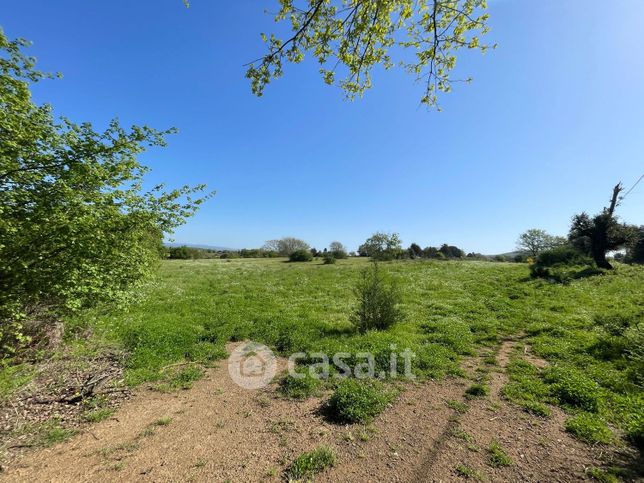 Terreno agricolo in commerciale in Strada della Mola 51